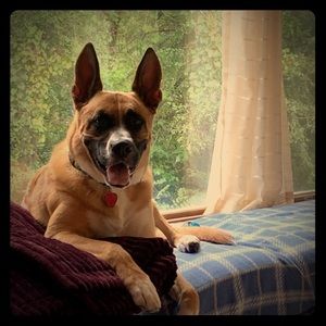 Meet your Posher, LeiLani